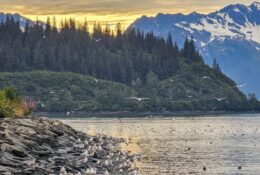 Alaska (62/65)